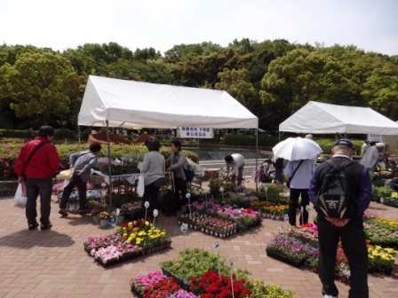 ―神戸市最大の花みどりイベント― 花のフェスタこうべ2018