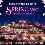 神戸で2026年3月20日（金祝）〜5月31日（日）開催！桜色に輝く「KOBE TOTTEI イルミナイト Spring － SAKURA PINK －」